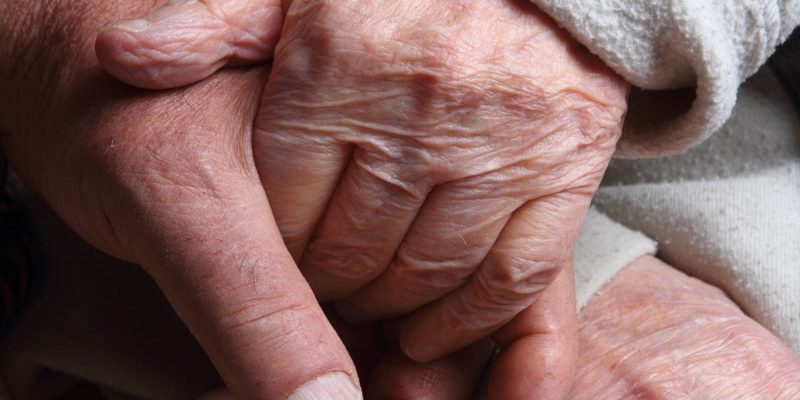 Surgical Oasis Intitute