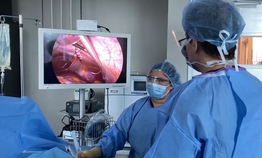 Dr. Iraniha Laparoscopic repair of diastasis recti - Surgical Oasis Institute